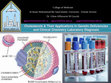 Research paper thumbnail of Updated-1439 Cholesterols & Their Applications in Genetic Deficiencies and Clinical Chemistry Laboratory Diagnosis 6 th week, 2 nd Semester