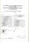 Research paper thumbnail of The Roman Ouest Giraglia 2 shipwreck (Corsica, France). An architectural study and some thoughts on the ship’s cargo