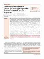 Research paper thumbnail of Evolution of developmental pattern for vertebrate dentitions: an oro-pharyngeal specific mechanism.