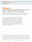 Research paper thumbnail of Rice actin binding protein RMD controls crown root angle in response to external phosphate