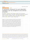 Research paper thumbnail of A mechanistic framework for auxin dependent Arabidopsis root hair elongation to low external phosphate