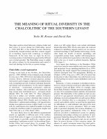 Research paper thumbnail of The Meaning of Ritual Diversity in the Chalcolithic of the Southern Levant