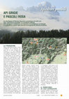 Research paper thumbnail of API GRIGIE E PASCOLI ROSA: APICOLTURA DI MONTAGNA IN ALTO VENETO