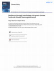 Research paper thumbnail of Resilience through interlinkage: The Green Climate Fund and climate finance governance