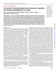 Research paper thumbnail of An ancient Turing-like patterning mechanism regulates skin denticle development in sharks