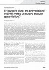 Research paper thumbnail of Il «carcere duro» tra prevenzione e diritti: verso un nuovo statuto garantistico?, in Diritto penale e processo, n. 2/2019, p. 259-269