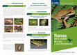 Research paper thumbnail of Ranas de la Ciudad de Loja