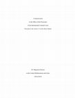 Research paper thumbnail of EU Migration Policies in the Central Mediterranean and Libya (2014-2019) -  ICC Communication