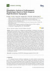 Research paper thumbnail of Quantitative Analysis of Anthropogenic Morphologies Based on Multi-Temporal High-Resolution Topography