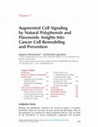 Research paper thumbnail of Augmented Cell Signaling by Natural Polyphenols and Flavonoids: Insights Into Cancer Cell Remodeling and Prevention