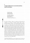 Research paper thumbnail of Imagens de Martín Fierro nas reescritas brasileiras. Aspectos poetológicos (5)