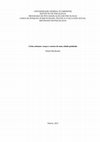 Research paper thumbnail of UNIVERSIDADE FEDERAL FLUMINENSE INSTITUTO DE PSICOLOGIA PROGRAMA DE PÓS-GRADUAÇÃO EM PSICOLOGIA LINHA DE PESQUISA SUBJETIVIDADE, POLÍTICA E EXCLUSÃO SOCIAL MESTRADO EM PSICOLOGIA Ciclos urbanos: traços e rastros de uma cidade pedalada