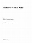 Research paper thumbnail of Aquatic Pasts & the Watery Present: Water and Memory in the Fora of Rome