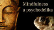 Research paper thumbnail of Mindfulness a psychedelika: Soucit k sobě a nepřipoutanost k Já