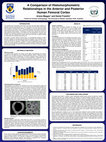 Research paper thumbnail of ASHB 2019 Poster - A Comparison of Histomorphometric Relationships in the Anterior and Posterior Human Femoral Cortex