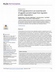 Research paper thumbnail of COP9 signalosome is an essential and druggable parasite target that regulates protein degradation