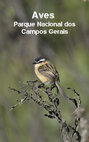 Research paper thumbnail of Aves Parque Nacional dos Campos Gerais