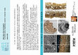 Research paper thumbnail of Who Were the First Potters? Current Research in Early Pottery Production in Western Eurasia