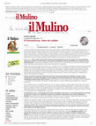 Research paper thumbnail of Il Coronavirus visto da Leiden in La rivista il Mulino (16 aprile 2020)