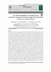 Research paper thumbnail of The Absolute and Relative Chronology of Tepe Vakilabad: A Reappraisal of the Chronology of the Chalcolithic Period of Tepe Yahya in SE Iran