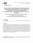 Research paper thumbnail of EXCAVATIONS AT THE BRONZE AGE PASTORAL SITE OF HANZAF, SE IRAN: STRATEGY OF PASTORALISM IN THE HALIL RUD BASIN BASED ON THE ARCHAEOLOGICAL AND ETHNO-ARCHAEOLOGICAL EVIDENCE