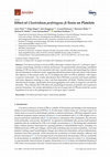 Research paper thumbnail of Effect of Clostridium perfringens β-Toxin on Platelets