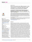 Research paper thumbnail of Abnormal keratinocyte differentiation in the nasal planum of Labrador Retrievers with hereditary nasal parakeratosis (HNPK)