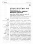 Research paper thumbnail of Visitors to a Tropical Marine Beach Show Evidence of Immunoconversions to Multiple Waterborne Pathogens