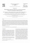 Research paper thumbnail of Phenylephrine requires the TATA box to activate transcription of GLUT1 in neonatal rat cardiac myocytes