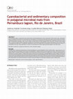 Research paper thumbnail of Cyanobacterial and sedimentary composition in polygonal microbial mats from Pernambuco Lagoon, Rio de Janeiro, Brazil