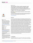 Research paper thumbnail of The function of the south-Levantine Late Chalcolithic and Early Bronze Age basalt vessels bearing circumferential depressions: Insights from use-wear analyses