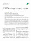 Research paper thumbnail of Role of Maize Weevil, Sitophilus zeamais Motsch. on Spread of Aspergillus section flavi in Different Nepalese Maize Varieties