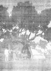 Research paper thumbnail of Juan Cabré y el Museo Arqueológico Nacional