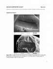 Research paper thumbnail of Gao et al 2012 Pliocene glaciation 3.5 Ma Repository data 2012277