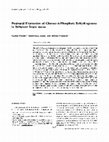 Research paper thumbnail of Postnatal expression of glucose-6-phosphate dehydrogenase in different brain areas