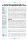 Research paper thumbnail of A postmortem study on indigestible foreign bodies in the rumen and reticulum of ruminants, eastern Ethiopia