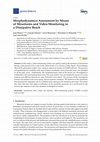 Research paper thumbnail of Morphodynamics Assessment by Means of Mesoforms and Video-Monitoring in a Dissipative Beach