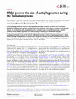 Research paper thumbnail of ERdj8 governs the size of autophagosomes during the formation process