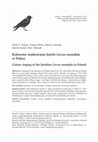 Research paper thumbnail of Kolorowe znakowanie kawki Corvus monedula w Polsce - Colour ringing of the Jackdaw Corvus monedula in Poland