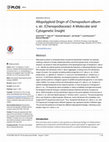 Research paper thumbnail of Allopolyploid Origin of Chenopodium album s. str. (Chenopodiaceae): A Molecular and Cytogenetic Insight