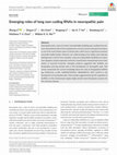 Research paper thumbnail of Emerging roles of long non-coding RNAs in neuropathic pain