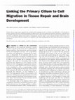 Research paper thumbnail of Linking the Primary Cilium to Cell Migration in Tissue Repair and Brain Development