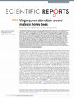 Research paper thumbnail of Virgin queen attraction toward males in honey bees