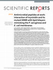 Research paper thumbnail of Antimicrobial peptides at work: interaction of myxinidin and its mutant WMR with lipid bilayers mimicking the P. aeruginosa and E. coli membranes