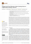 Research paper thumbnail of Gangues and Clays Minerals as Rate-Limiting Factors in Copper Heap Leaching: A Review