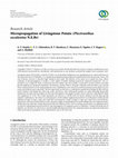 Research paper thumbnail of Micropropagation of Livingstone Potato (Plectranthus esculentus N.E.Br)