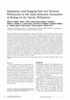 Research paper thumbnail of Adaptation and foraging from the Terminal Pleistocene to the Early Holocene: Excavation at Bubog on Ilin Island, Philippines