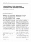 Research paper thumbnail of Comparative Analysis of Azo Dye Biodegradation by Aspergillus oryzae and Phanerochaete chrysosporium