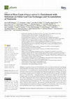 Research paper thumbnail of Effect of Rice Grain (Oryza sativa L.) Enrichment with Selenium on Foliar Leaf Gas Exchanges and Accumulation of Nutrients