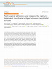 Research paper thumbnail of Post-surgical adhesions are triggered by calcium-dependent membrane bridges between mesothelial surfaces